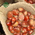 suministro de embalaje a granel castaño fresco chino